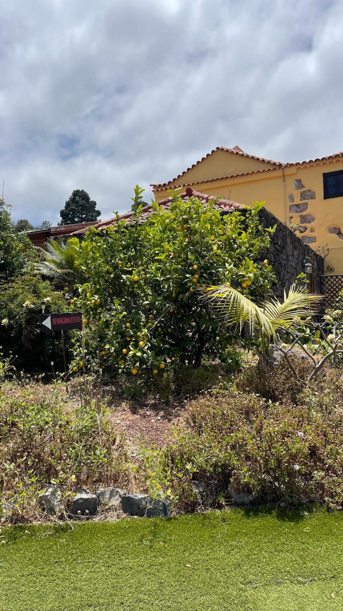 Casonas De Marengo Guest House Icod De Los Vinos Luaran gambar